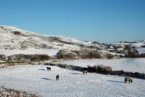 Cosy Seaside Cottage Baltimore