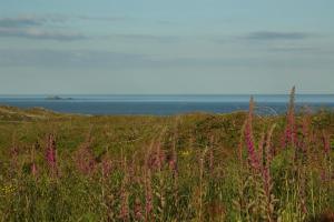 Cosy Seaside Cottage Baltimore