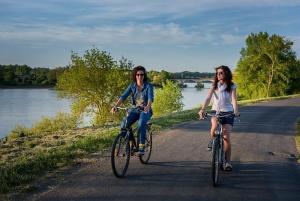 Maisons de vacances Le Grand Gite des Moyens-Ducs : photos des chambres