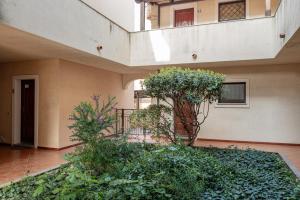 Studio's Pavese img47