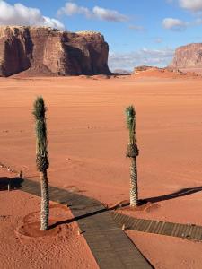Wadi Rum Bedouin Camp
