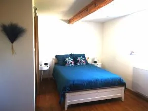 Joli meublé calme et proche du centre - Didenheim