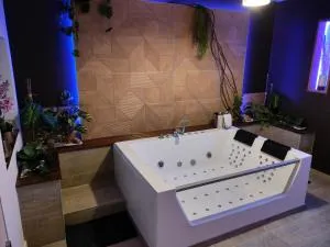 Appartement Balnéo vue sur cascade - 蒂福斯