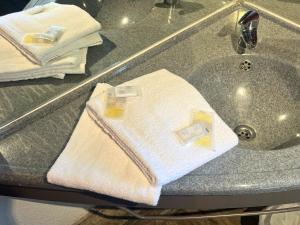 Hotels Egg Hotel Sarcelles : Chambre Double