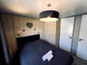 Magnifique chalet climatisé avec jardin adapté PMR