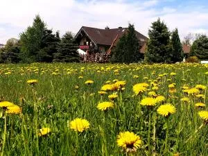 Tajemniczy Ogród Szczytna - Bed & Breakfast - 茨兹伊特纳