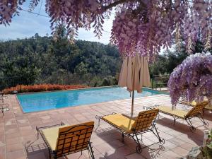 Appartements Le Pijouret - Appt avec piscine privee : photos des chambres