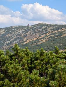 Apartament Pod Orłem