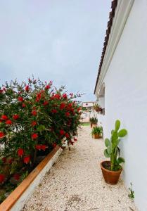 Villetta a Tanaunella img3