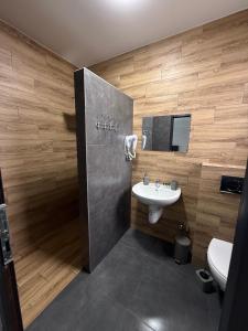 LOFT Hotel Solotvino