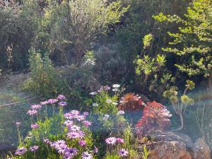 Villas Altana - Wifi - View - Terrace - Central : photos des chambres