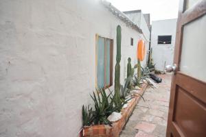Mit Homestay Phú Quý