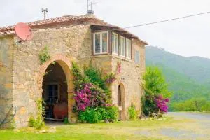 Apartment in Tuscan farmhouse - Valle Benedetta