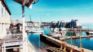 Seal Point apartment