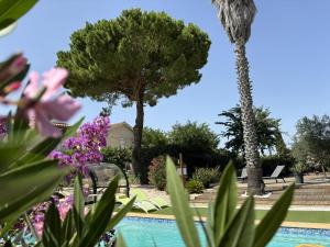 Maisons d'hotes A l'Oree Des Vignes : photos des chambres