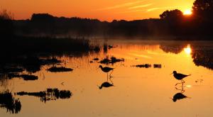 Maison vue mer - Golfe du Morbihan - 10 Personnes