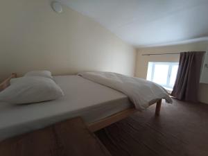 Viru Backpackers Hostel