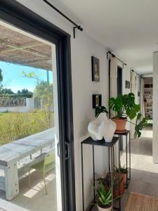 Maisons d'hotes Mas de charme au pied des Alpilles : photos des chambres