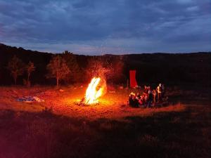 Centru de activități, retreaturi, fermă