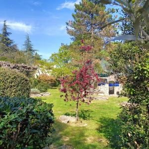 Maisons de vacances Gite en Ardeche Meridionale - Les Berberis : photos des chambres