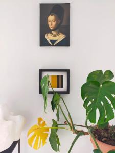 Maisons d'hotes Mas de charme au pied des Alpilles : photos des chambres