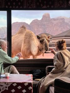 Desert Bird Camp