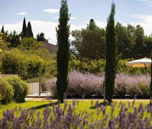 Maisons d'hotes Mas de charme au pied des Alpilles : photos des chambres