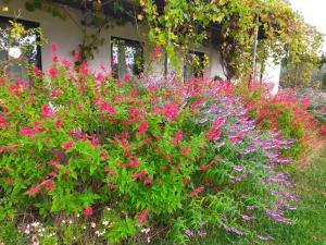 Maisons d'hotes Mas de charme au pied des Alpilles : photos des chambres