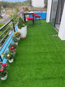 Hải Nam Homestay Cam Lâm