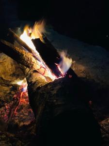 Family Room with Skydeck