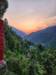 Family Room with Skydeck