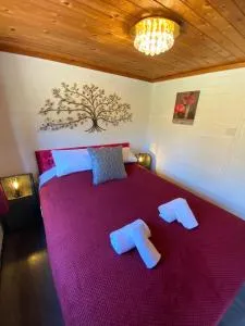 Otter 2 HuntersMoon- Warminster-Wiltshire-Bristol - Dilton