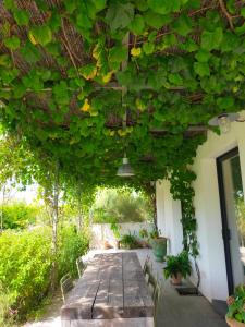 Maisons d'hotes Mas de charme au pied des Alpilles : photos des chambres