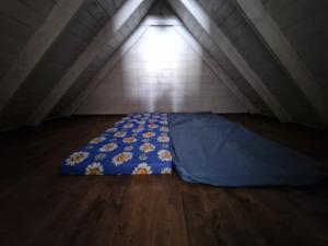 Bear Watching Hide of Alutaguse