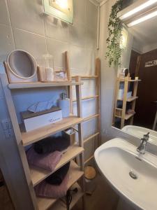 Chalets CHALET FAMILIAL AU PIED DES PISTES ET COMMERCES : photos des chambres