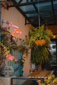 Summer Delight B&B - Nanwan