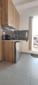 S11-Historical Center Studio, Acropolis view