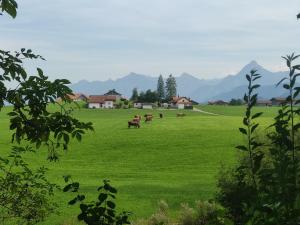 Pension Weißer Hirsch