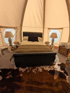 "Puffball" Luxury Glamping Air Dome Tent
