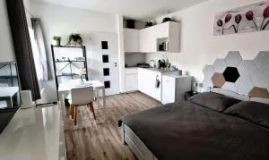 Pretty private Apartment U LABE, self-service check-in 24 l 7 - Úžice