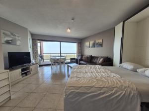 Large beachstudio seaview Blankenberge near Brugge