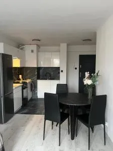 Comfortable one bedroom apartment - Krępiec