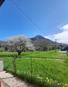 Casa La V G