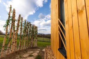Henry Domki - prywatna sauna i jacuzzi