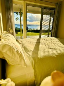 Aqua Straddies Best View Bay, Brissy & Beyond