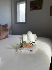 Villas Villavos- Le Bocage : photos des chambres