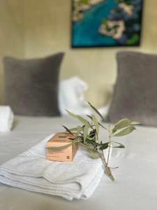 Villas Villavos- Le Bocage : photos des chambres