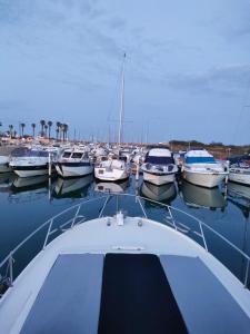 Bateaux BATEAU STANDING A QUAI tout confort : photos des chambres