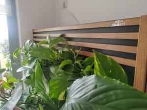 Sea View Garden Spot