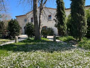 San Pietro Fuori le Mura B&B